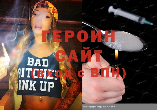 индика Надым